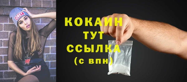 дурь Инта