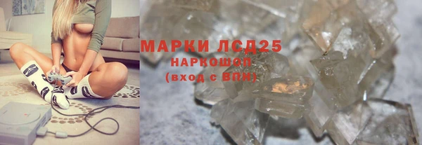 дурь Инта