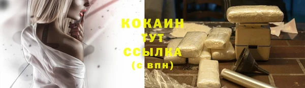 дурь Инта