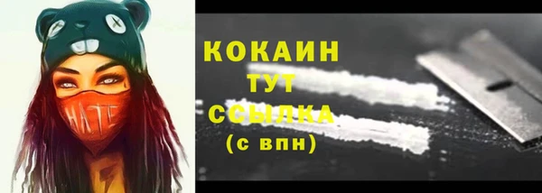 дурь Инта