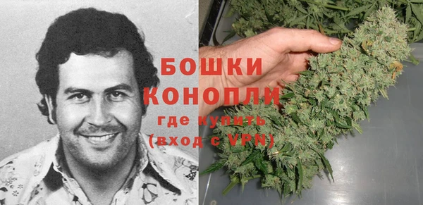дурь Инта