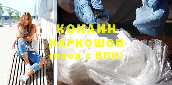 дурь Инта