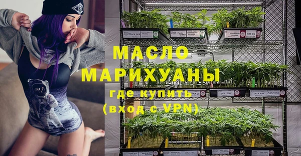 дурь Инта