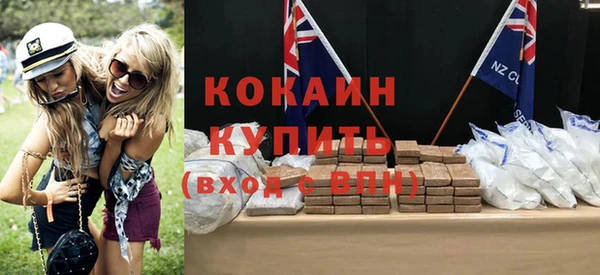 дурь Инта