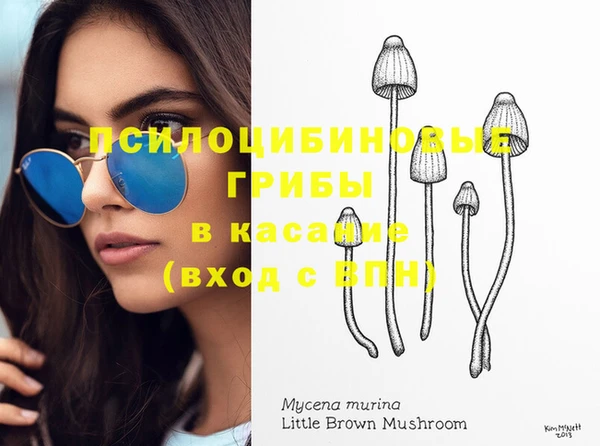 дурь Инта