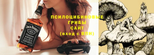 прущая мука Инсар