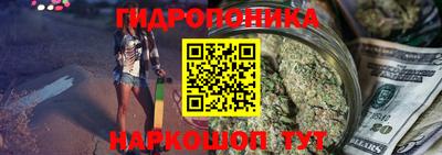 spice Кингисепп