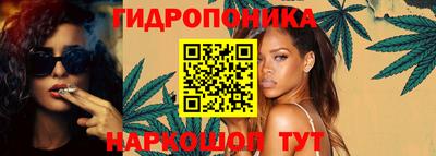 гашик Кинель