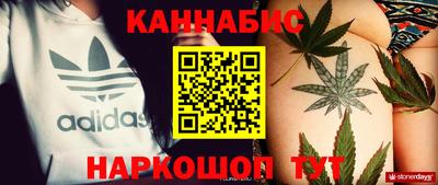 spice Кингисепп