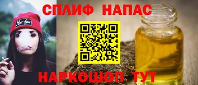 spice Кингисепп
