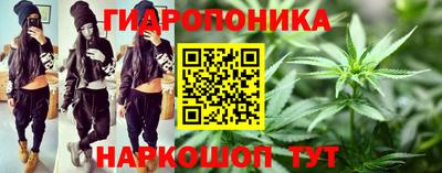 a pvp Кимры