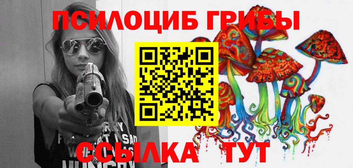 Галлюциногенные грибы мицелий Кандалакша
