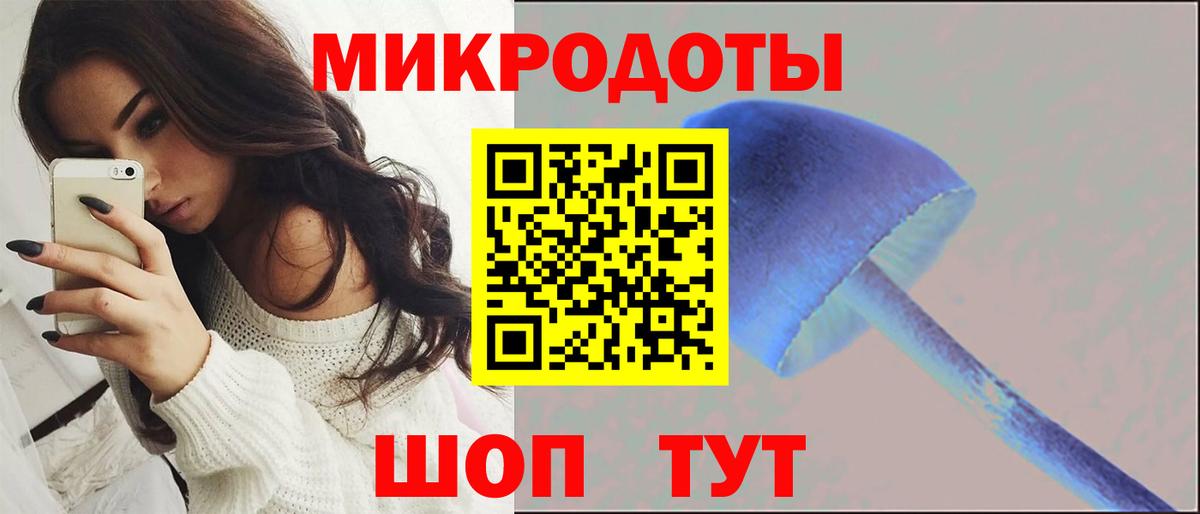Псилоцибиновые грибы Psilocybe  Вход с VPN  Галлюциногенные грибы Cubensis  Кандалакша 